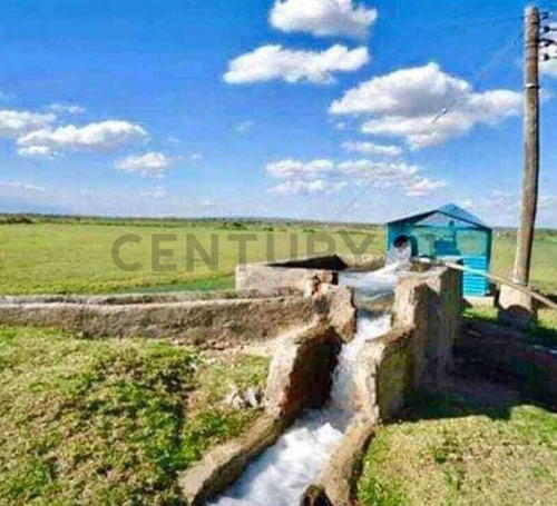 Venta Lote - El Carrizal Abajo- Lujan De Cuyo - Mendoza
