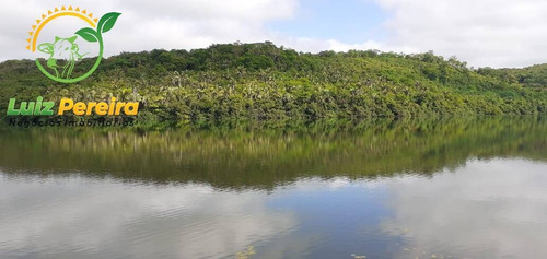 Imagem 1 de 15 de Fazenda À Venda Em Ponte Alta - To - 2.100 Hec / Excelente Argila - 1933