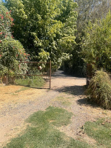 Imagen 3 de 30 de Parcela 19.000 M2 Con Casa Y Bodegas En Idahue Coltauco