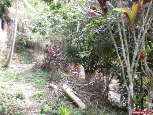 Imagen 6 de 12 de Venta De Terreno En San Jose De Los Altos Edo Miranda Rzxx