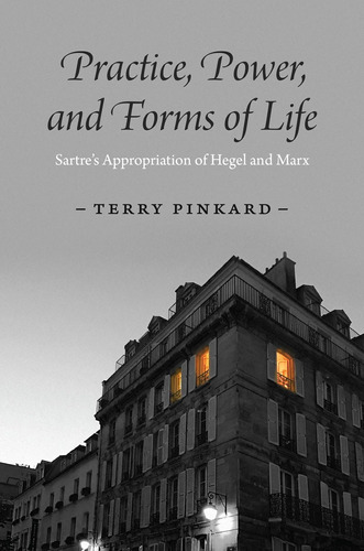Libro: Practice, Power, And Forms Of Life: Sartres