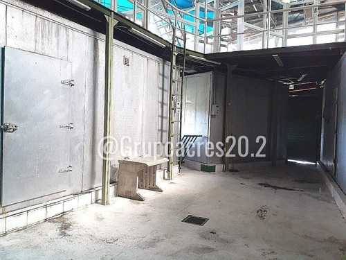 Imagen 7 de 17 de En Venta Dos Galpones En Potrerito Carrizal Edo. Miranda. Yc