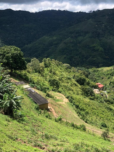 Venta De Lote De Terreno En Sabaneta Del Hatillo, Mcpio El Hatillo, Caracas. Mr