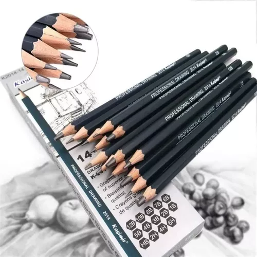 Qionew Juego de lápices de dibujo profesional paquete de 12 lápices de  dibujo artístico lápices de grafito 14B - 4H ideal para dibujar lápices de