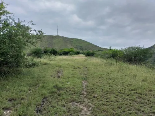 Finca En Venta En Yotoco. Cod V8605