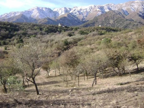 Terreno Parque Los Nogales Merlo San Luis