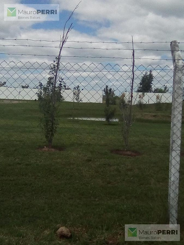Imagen 4 de 11 de Terreno - Countries/b.cerrado (la Plata)