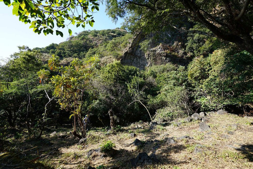 Imagen 3 de 9 de Excepcional Terreno Tepoztlán