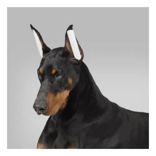 Adhesivo Para Orejas De Perro Con Soporte Para Orejas De Per