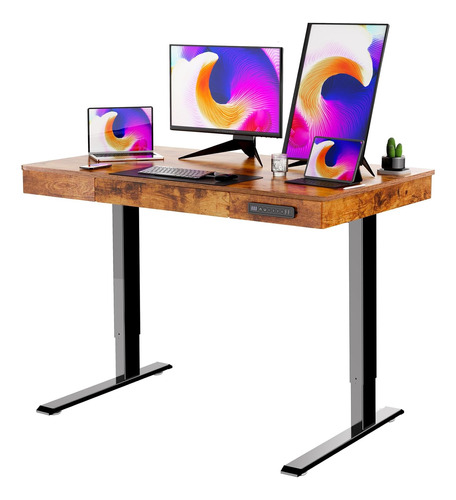 Electric Standing Desk Adjustable Height With Drawer,48 X 24