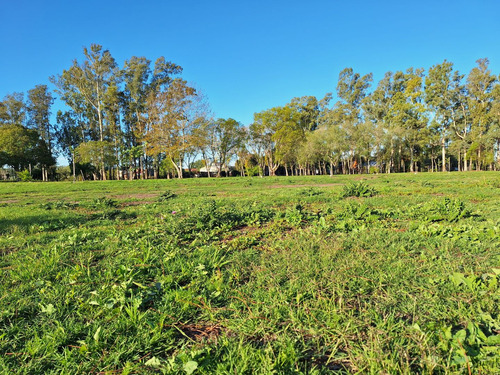 Venta De Lote En José Hernández, La Plata