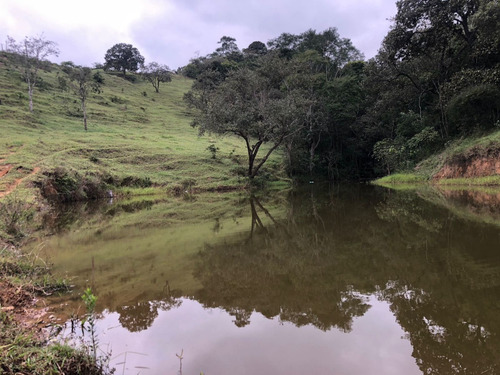 Imagem 6 de 7 de Saia Do Aluguel E Venha Morar Na Cidade Natureza