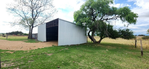 Imagen 21 de 30 de Excelente Campo Con Muy Buenas Mejoras .