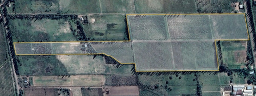 Imagen 3 de 25 de Venta De Finca 14 Ha En Producción - San Rafael Mendoza