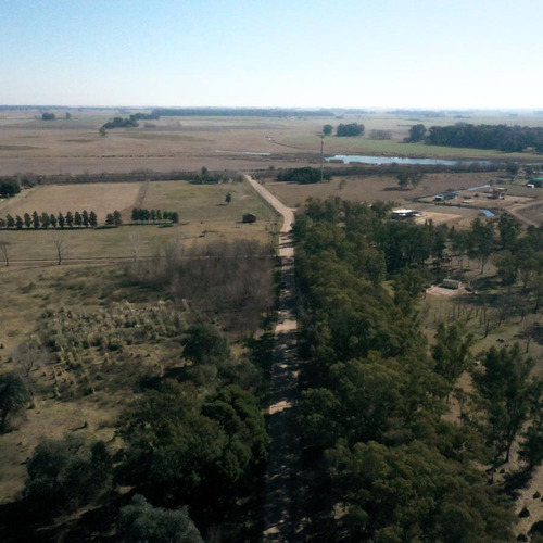 Imagen 11 de 21 de Terreno - Laguna De Lobos
