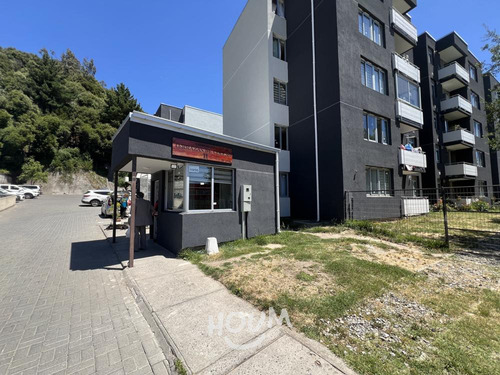 Departamento Collao Id: 146208