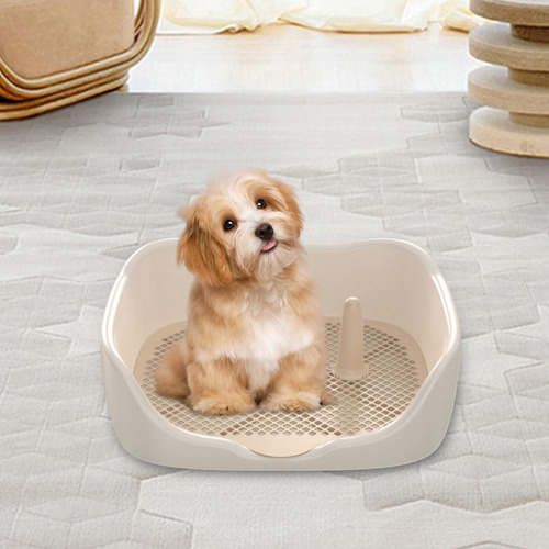 De Baño Para Entrenamiento De Mascotas Para Perros, Grande