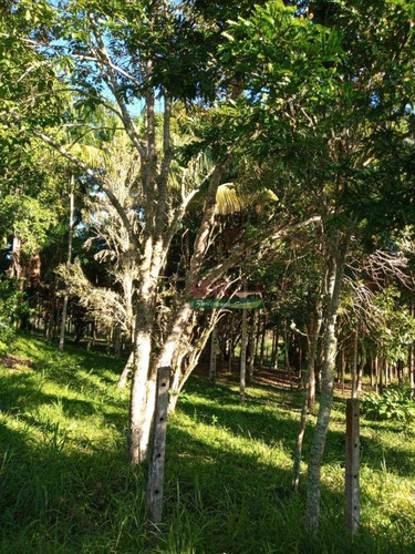Imagem 13 de 17 de Sítio Com 2 Dormitórios À Venda, 387200 M² Por R$ 1.680.000 - Rocinha - Guaratinguetá/sp - Si0219