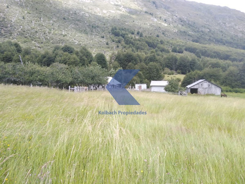 Lindo Terreno Con Estero En Venta En Futalefu