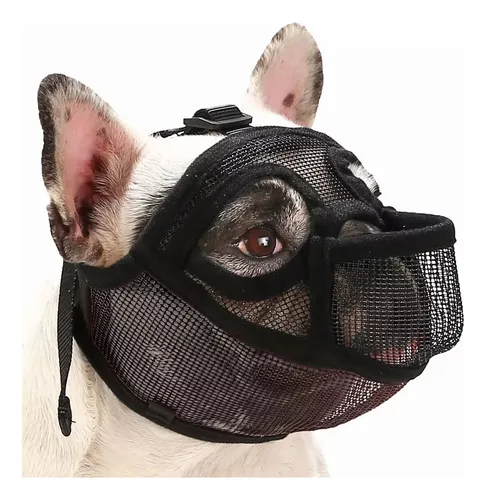 Pug mouth guard sale