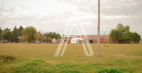 Imagen 3 de 4 de Terreno En Alvarez