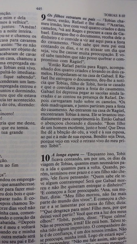 Bíblia Sagrada Ilustrada Luxo Edição Pastoral Paulus Família