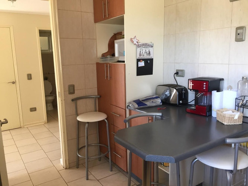 Imagen 6 de 9 de En Venta Hermosa Propiedad En Valle De Notros
