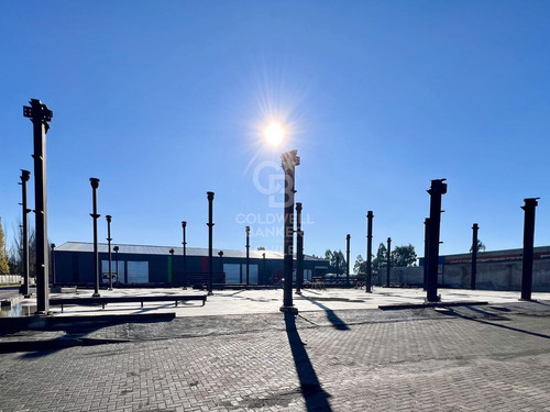 Pronto, Modernas Bodegas En Jaime Repullo