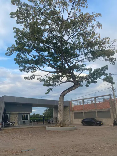 Urbanizacion Cedritos Campestre ( Lotes Desde 150 Mts2 )