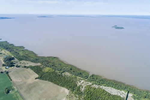 Imagen 4 de 16 de Campos Venta Carmelo Sobre Río De La Plata