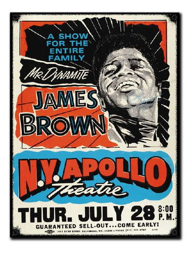 #235 - Cuadro Vintage 21 X 29 Cm / James Brown Funk Poster