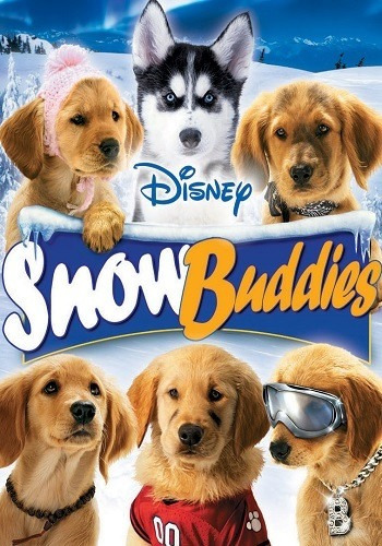 Snow Buddies Dvd
