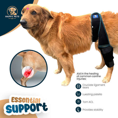 Joelheira Para Cães Happy Pets Co Ajustável Para Ligamento C