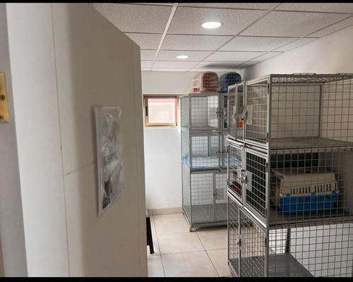 Local Comercial En Arriendo En Buín, Excelente Ubicación!!