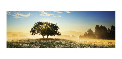 Puzzle Panorama 1000 Pz - Play Of Light - Heye 29901