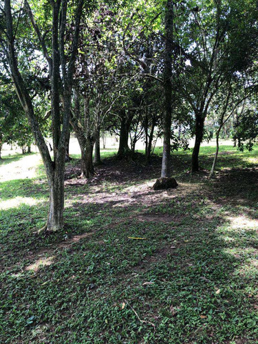 Imagem 2 de 16 de Terreno, Rancho Tucsons, Santana De Parnaíba - R$ 3.82 Mi, Cod: 235496 - V235496