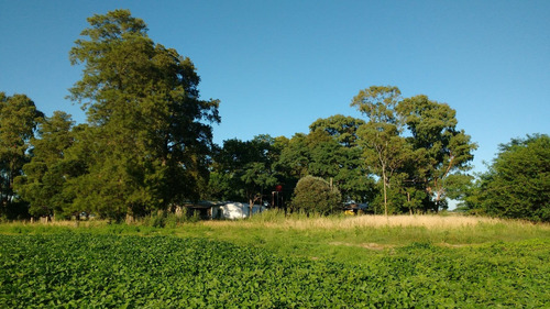 Imagen 2 de 5 de Campo 10 Has Agricola - Roque Pérez