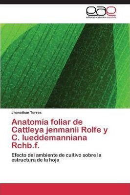 Anatomia Foliar De Cattleya Jenmanii Rolfe Y C. Lueddeman...