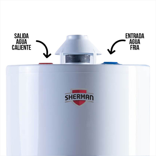 Imagen 2 de 6 de Termotanque Sherman A Gas De Pie 120 Litros