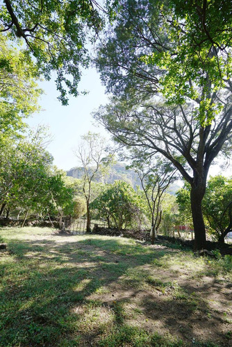 Imagen 1 de 9 de Excepcional Terreno Tepoztlán