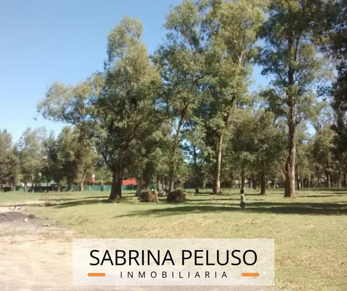 Imagen 7 de 10 de Terreno En Alvarez Del Bosque