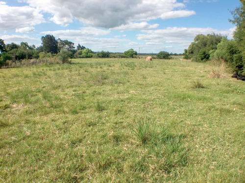 Imagen 4 de 7 de 2 Casas Y Local Comercial Con Terreno De 11000m2. Antolín