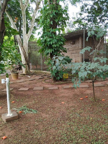 Imagem 11 de 22 de Chácara Com 3 Dormitórios À Venda, 2000 M² Por R$ 2.100.000,00 - Jardim Santa Alice - Santa Bárbara D'oeste/sp - Ch0038