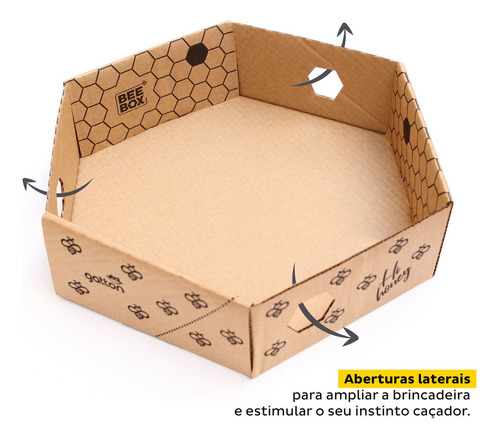 Caixa Hexagonal De Papelão Beebox Para Gatos