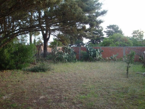 Imagen 7 de 8 de Casa Sola En Lote Propio De 520m2. Zona Tranquila. Ideal Vivienda