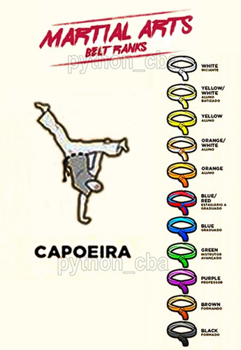 Pósters Aikido Capoeira Jiu Jitsu Judo Ju Jutsu - 42x30cm