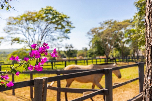 Imagem 4 de 30 de Fazenda À Venda No Bairro Sarapuí - Sarapuí/sp - O-8420-17443