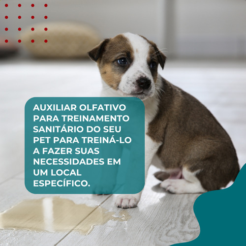 Tapete Ultra Secão Greatpets 80x60 Carvão + Educador PipiPod