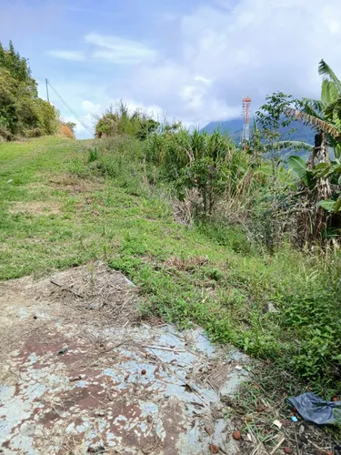 Se Vende Lote En Vereda La Frisola A 2 Km De La Salida Del Tunel Lado Occidente
