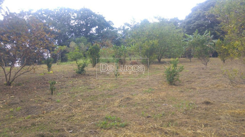Imagem 10 de 20 de Chácara À Venda Em Colinas Do Atibaia - Ch003759